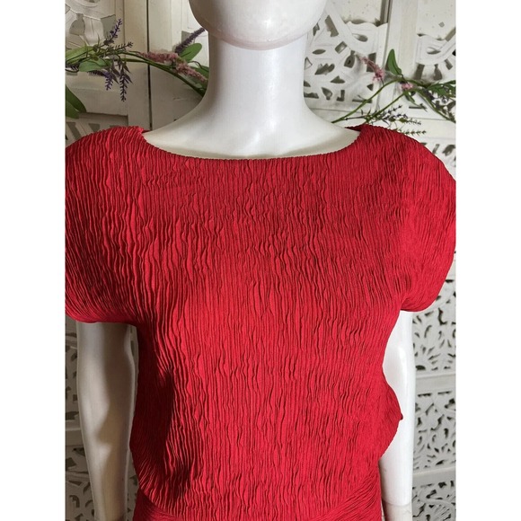 Vintage Roberta California Women’s Red Plisse Formal Dress Size 10 - Picture 4 of 11